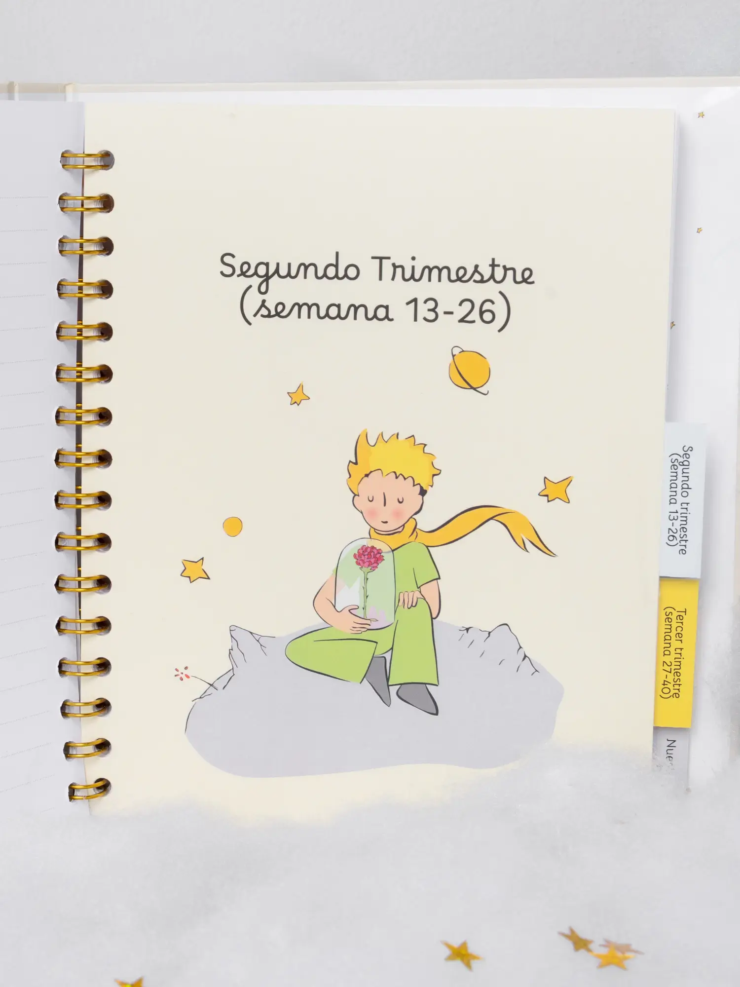 Diario del embarazo el principito rose